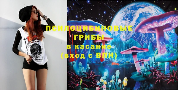 дживик Нея