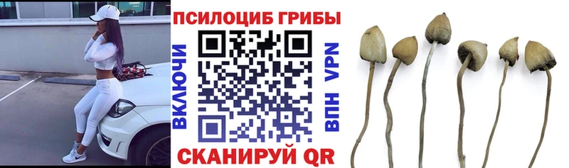 где найти наркотики Чишмы Галлюциногенные грибы GOLDEN TEACHER